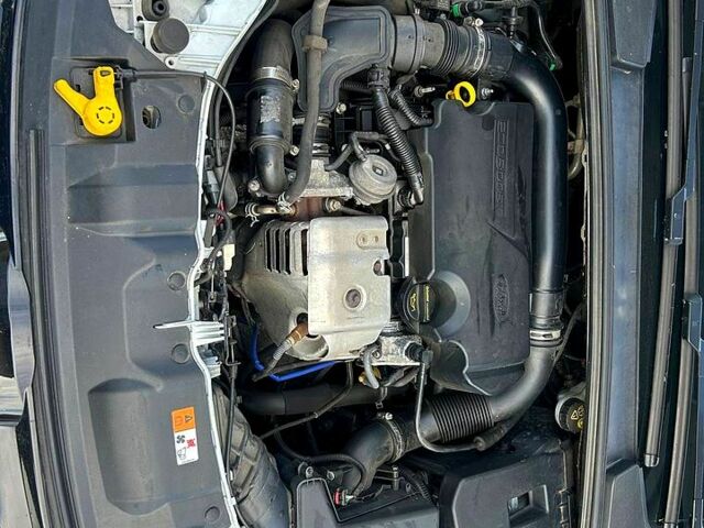 Белый Форд Фокус, объемом двигателя 1 л и пробегом 164 тыс. км за 7600 $, фото 12 на Automoto.ua