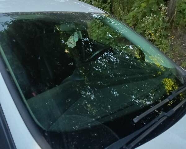 Белый Форд Фокус, объемом двигателя 1 л и пробегом 177 тыс. км за 7000 $, фото 5 на Automoto.ua