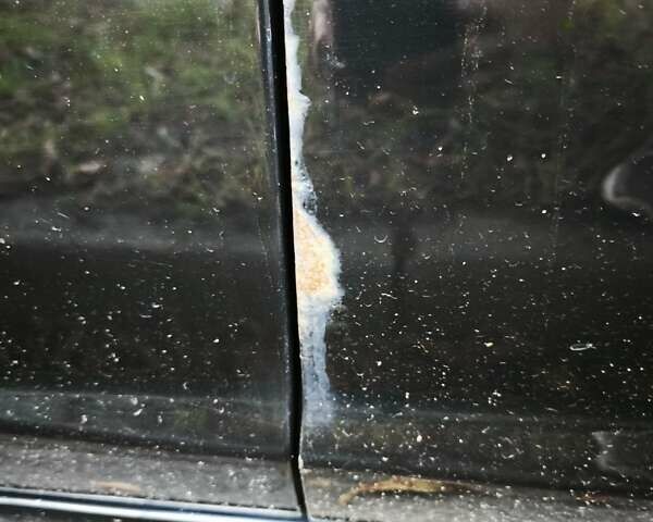 Черный Форд Фокус, объемом двигателя 1.6 л и пробегом 155 тыс. км за 4100 $, фото 5 на Automoto.ua