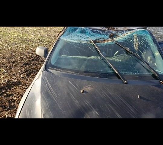 Форд Фокус 2005 у Лозовой на Automoto.ua Чорний Форд Фокус, об'ємом двигуна 1.6 л та пробігом 300 тис. км за 1700 $, фото 1 на Automoto.ua