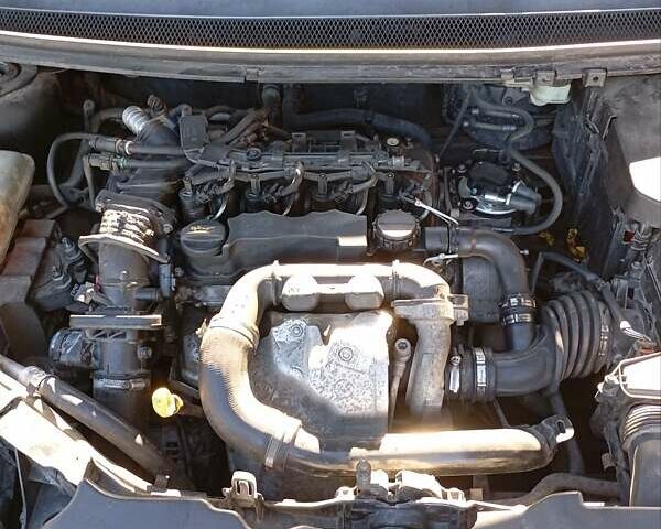 Форд Фокус 2007 в Львове на Automoto.ua Черный Форд Фокус, объемом двигателя 1.56 л и пробегом 318 тыс. км за 5250 $, фото 15 на Automoto.ua