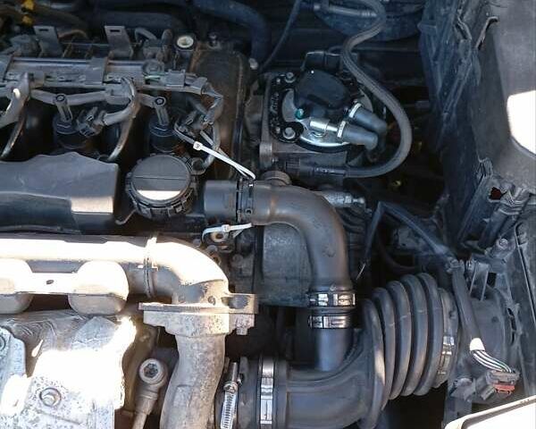 Форд Фокус 2007 в Львове на Automoto.ua Черный Форд Фокус, объемом двигателя 1.56 л и пробегом 318 тыс. км за 5250 $, фото 16 на Automoto.ua