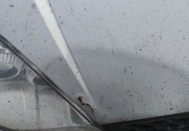 Сірий Форд Фокус, об'ємом двигуна 0 л та пробігом 205 тис. км за 2862 $, фото 3 на Automoto.ua