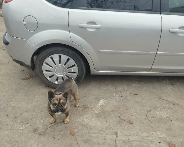 Серый Форд Фокус, объемом двигателя 1.6 л и пробегом 170 тыс. км за 5300 $, фото 2 на Automoto.ua