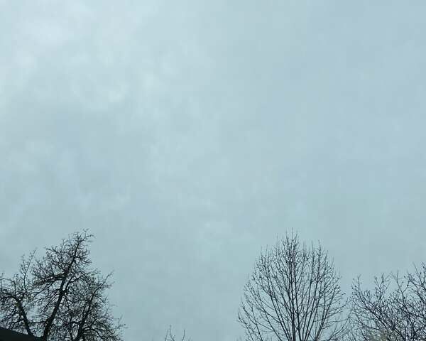 Серый Форд Фокус, объемом двигателя 2 л и пробегом 283 тыс. км за 9550 $, фото 28 на Automoto.ua