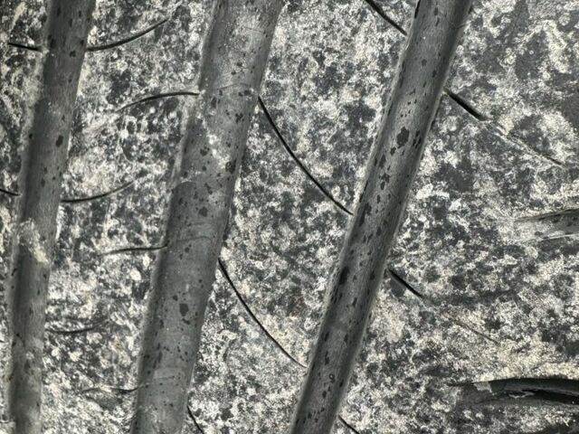 Синій Форд Фокус, об'ємом двигуна 1.4 л та пробігом 286 тис. км за 4300 $, фото 14 на Automoto.ua