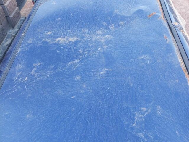 Синий Форд Фокус, объемом двигателя 2 л и пробегом 250 тыс. км за 2500 $, фото 5 на Automoto.ua