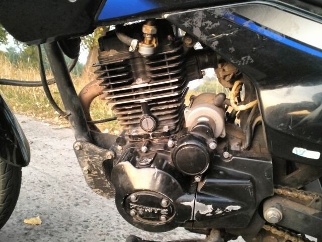 Форд Фокус 2021 в Броварах на Automoto.ua Синий Форд Фокус, объемом двигателя 1.5 л и пробегом 8 тыс. км за 476 $, фото 4 на Automoto.ua