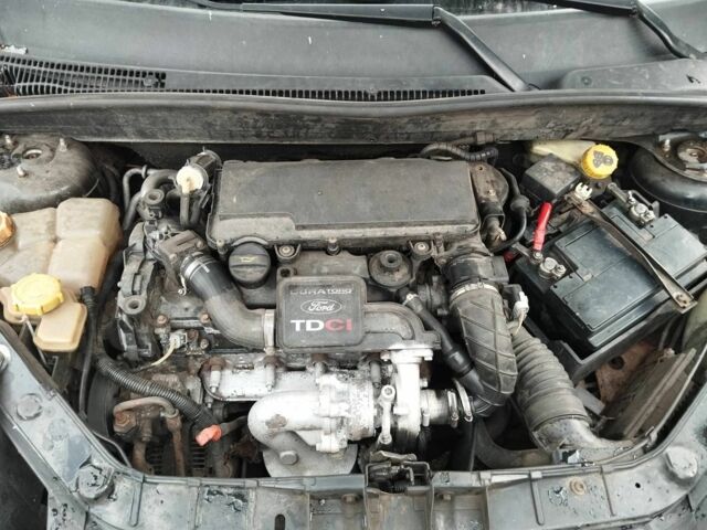 Форд Фьюжн 2003 в Фастове на Automoto.ua Черный Форд Фьюжн, объемом двигателя 1.4 л и пробегом 310 тыс. км за 3000 $, фото 1 на Automoto.ua