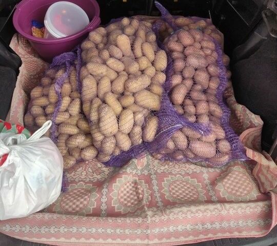 Сірий Форд Фьюжен, об'ємом двигуна 1.6 л та пробігом 232 тис. км за 3500 $, фото 12 на Automoto.ua