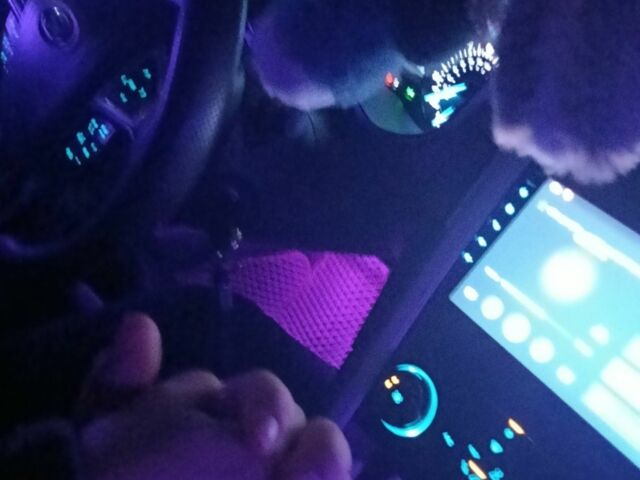 Серый Форд Фьюжн, объемом двигателя 2.5 л и пробегом 220 тыс. км за 10500 $, фото 4 на Automoto.ua