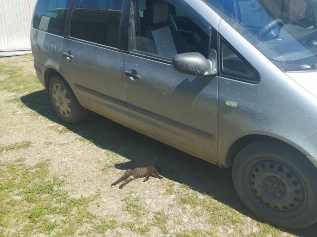 Серый Форд Галакси, объемом двигателя 1.9 л и пробегом 400 тыс. км за 3550 $, фото 1 на Automoto.ua