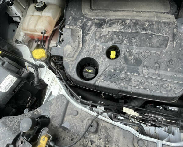 Білий Форд Куга, об'ємом двигуна 2 л та пробігом 301 тис. км за 12400 $, фото 38 на Automoto.ua