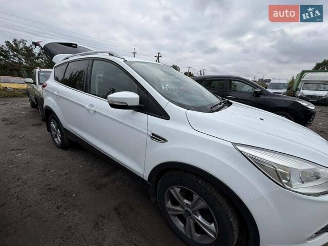 Форд Куга 2013 в Конотопе на Automoto.ua Белый Форд Куга, объемом двигателя 2 л и пробегом 95 тыс. км за 15200 $, фото 1 на Automoto.ua