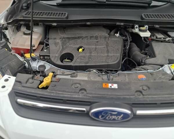 Білий Форд Куга, об'ємом двигуна 2 л та пробігом 183 тис. км за 13500 $, фото 4 на Automoto.ua