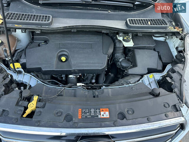 Белый Форд Куга, объемом двигателя 2 л и пробегом 243 тыс. км за 14700 $, фото 54 на Automoto.ua