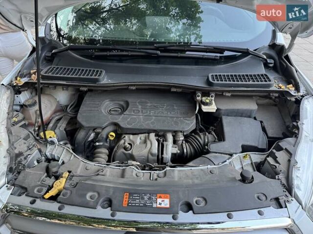 Белый Форд Куга, объемом двигателя 1.5 л и пробегом 55 тыс. км за 23500 $, фото 11 на Automoto.ua