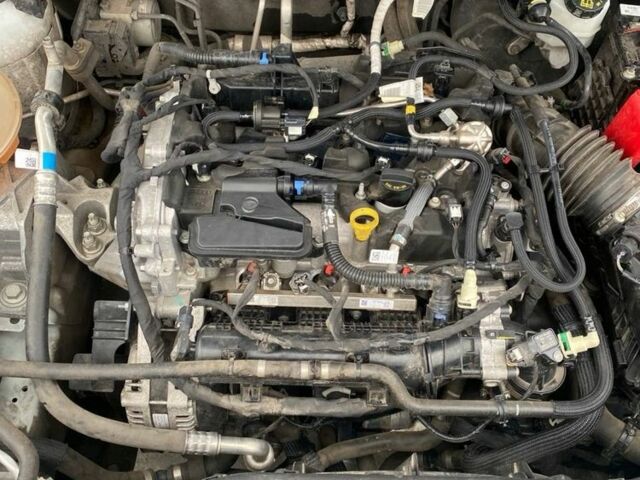 Білий Форд Куга, об'ємом двигуна 1.5 л та пробігом 54 тис. км за 24600 $, фото 13 на Automoto.ua