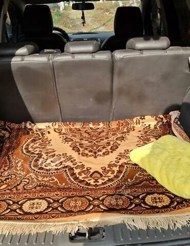 Чорний Форд Куга, об'ємом двигуна 2 л та пробігом 169 тис. км за 10300 $, фото 10 на Automoto.ua