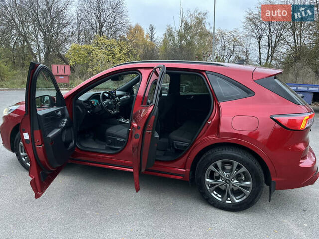 Форд Куга 2021 у Хмельницькому на Automoto.ua Червоний Форд Куга, об'ємом двигуна 1.5 л та пробігом 49 тис. км за 24700 $, фото 14 на Automoto.ua