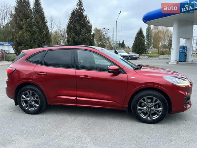 Форд Куга 2021 у Хмельницькому на Automoto.ua Червоний Форд Куга, об'ємом двигуна 1.5 л та пробігом 49 тис. км за 24700 $, фото 18 на Automoto.ua