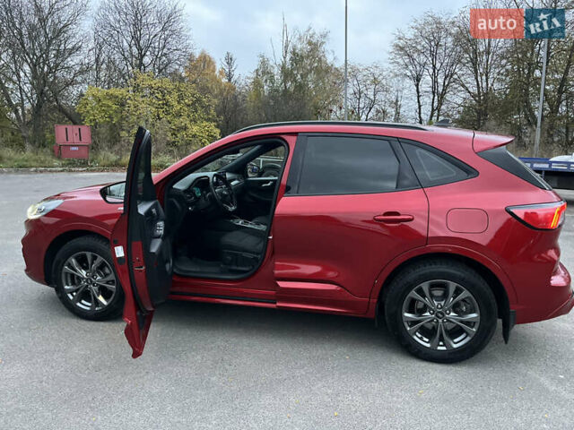 Форд Куга 2021 у Хмельницькому на Automoto.ua Червоний Форд Куга, об'ємом двигуна 1.5 л та пробігом 49 тис. км за 24700 $, фото 28 на Automoto.ua