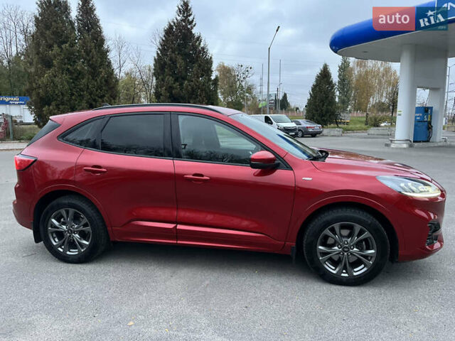 Форд Куга 2021 у Хмельницькому на Automoto.ua Червоний Форд Куга, об'ємом двигуна 1.5 л та пробігом 49 тис. км за 24700 $, фото 19 на Automoto.ua