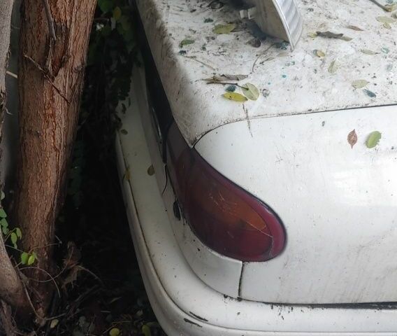 Форд Мондео 1994 в Козельце на Automoto.ua Белый Форд Мондео, объемом двигателя 0 л и пробегом 380 тыс. км за 400 $, фото 8 на Automoto.ua