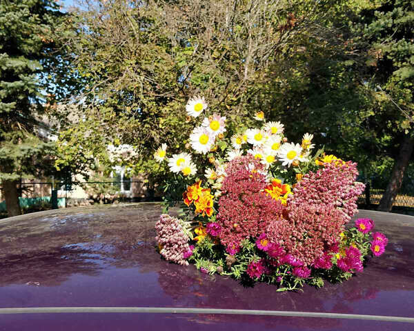 Фиолетовый Форд Мондео, объемом двигателя 1.8 л и пробегом 143 тыс. км за 2900 $, фото 5 на Automoto.ua