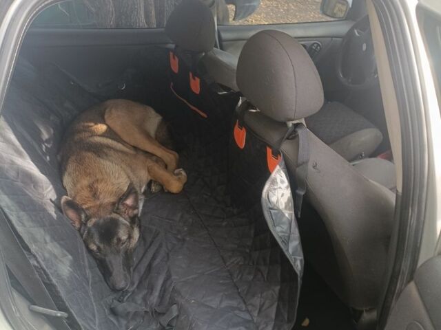 Форд Мондео 1998 в Пологах на Automoto.ua Серый Форд Мондео, объемом двигателя 1.8 л и пробегом 252 тыс. км за 1700 $, фото 6 на Automoto.ua