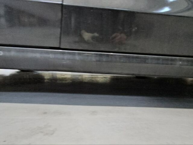 Серый Форд Мондео, объемом двигателя 2 л и пробегом 130 тыс. км за 12100 $, фото 31 на Automoto.ua