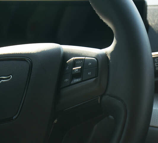 Серый Форд Mustang Mach-E, объемом двигателя 0 л и пробегом 46 тыс. км за 25500 $, фото 21 на Automoto.ua