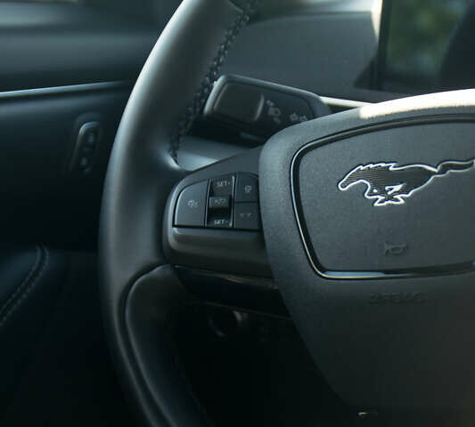 Серый Форд Mustang Mach-E, объемом двигателя 0 л и пробегом 46 тыс. км за 25500 $, фото 20 на Automoto.ua