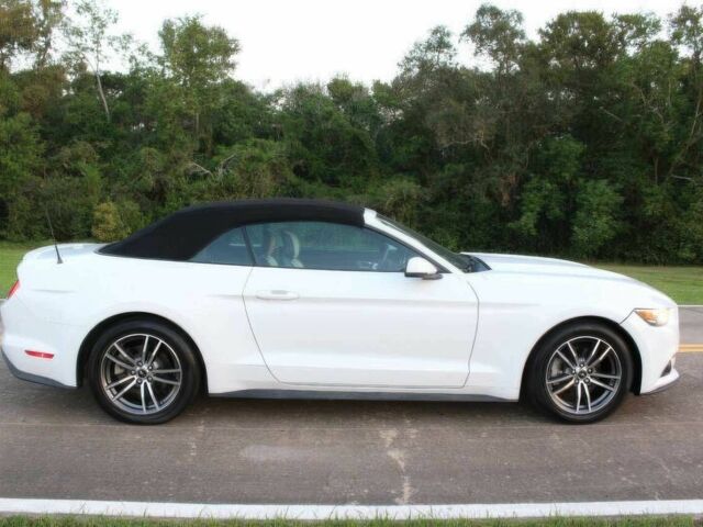 Білий Форд Мустанг, об'ємом двигуна 2.3 л та пробігом 65 тис. км за 4700 $, фото 13 на Automoto.ua