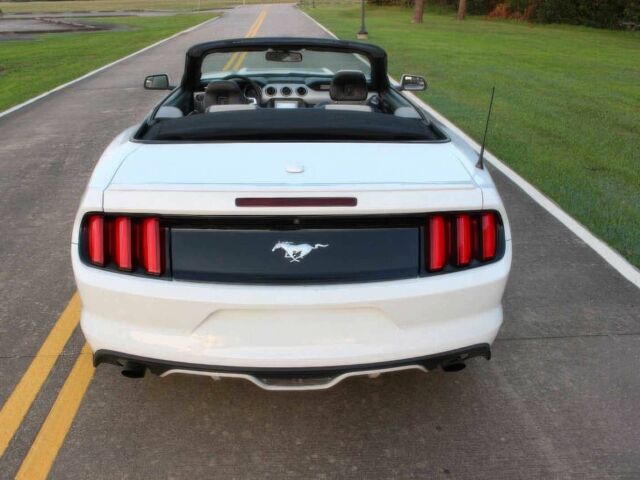 Білий Форд Мустанг, об'ємом двигуна 2.3 л та пробігом 65 тис. км за 4700 $, фото 10 на Automoto.ua