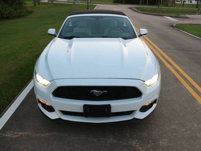 Білий Форд Мустанг, об'ємом двигуна 2.3 л та пробігом 65 тис. км за 4700 $, фото 2 на Automoto.ua