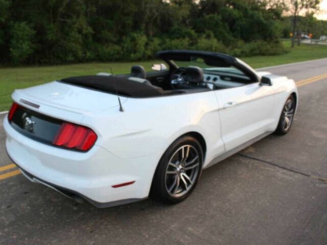 Білий Форд Мустанг, об'ємом двигуна 2.3 л та пробігом 65 тис. км за 4700 $, фото 12 на Automoto.ua