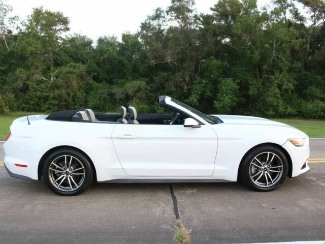 Білий Форд Мустанг, об'ємом двигуна 2.3 л та пробігом 65 тис. км за 4700 $, фото 14 на Automoto.ua