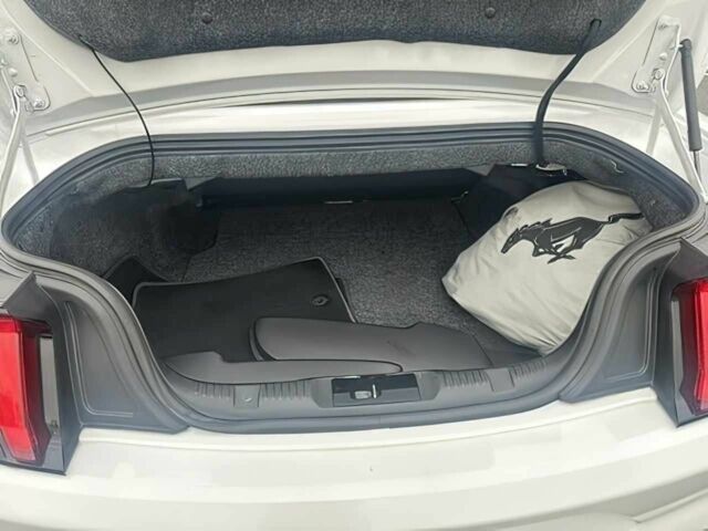 Белый Форд Мустанг, объемом двигателя 2.3 л и пробегом 48 тыс. км за 10000 $, фото 11 на Automoto.ua