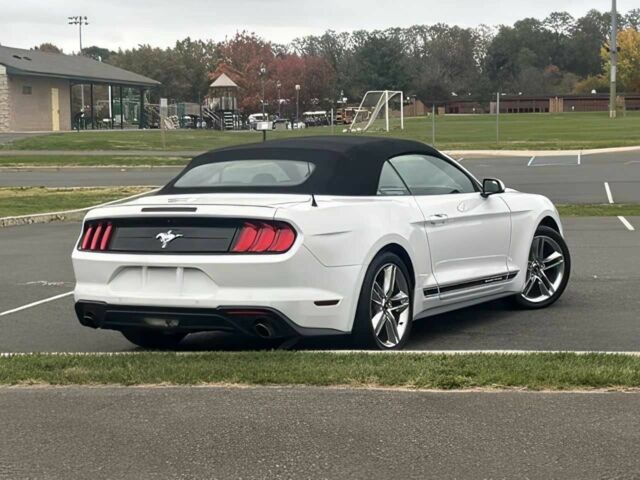 Белый Форд Мустанг, объемом двигателя 2.3 л и пробегом 48 тыс. км за 10000 $, фото 3 на Automoto.ua