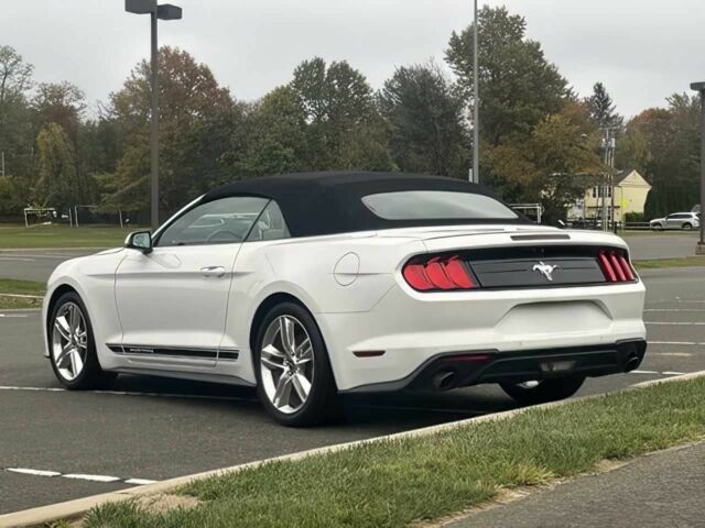 Белый Форд Мустанг, объемом двигателя 2.3 л и пробегом 48 тыс. км за 10000 $, фото 4 на Automoto.ua