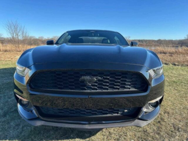 Черный Форд Мустанг, объемом двигателя 2.3 л и пробегом 70 тыс. км за 4500 $, фото 1 на Automoto.ua