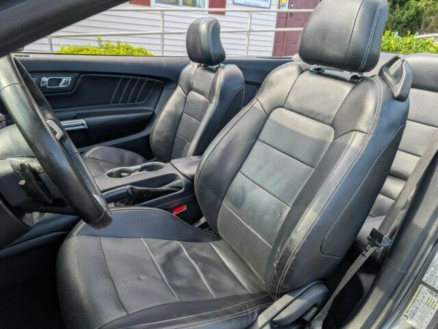 Форд Мустанг 2015 в Черкассах на Automoto.ua Серый Форд Мустанг, объемом двигателя 2.3 л и пробегом 78 тыс. км за 3100 $, фото 10 на Automoto.ua