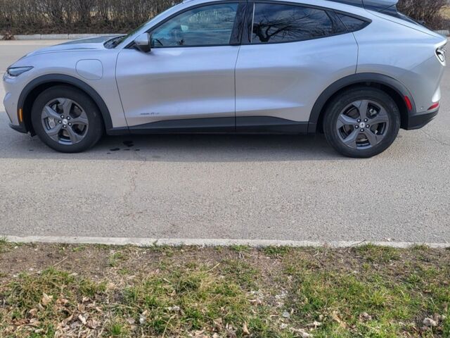 Серый Форд Мустанг, объемом двигателя 0 л и пробегом 81 тыс. км за 22499 $, фото 4 на Automoto.ua