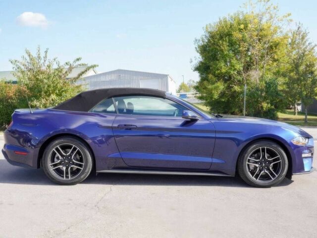 Синий Форд Мустанг, объемом двигателя 2.3 л и пробегом 41 тыс. км за 6950 $, фото 4 на Automoto.ua