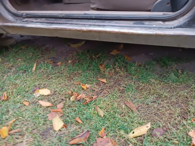 Форд Орион 1984 в Днепре (Днепропетровске) на Automoto.ua Черный Форд Орион, объемом двигателя 0 л и пробегом 203 тыс. км за 500 $, фото 6 на Automoto.ua