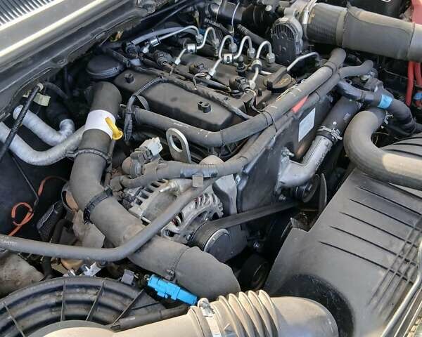 Форд Рейнджер 2016 у Борисполе на Automoto.ua Білий Форд Рейнджер, об'ємом двигуна 2.2 л та пробігом 258 тис. км за 15600 $, фото 14 на Automoto.ua