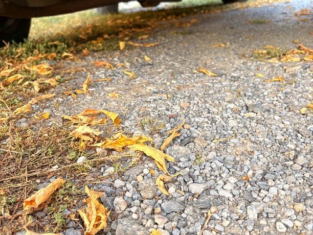 Белый Форд Сиерра, объемом двигателя 2 л и пробегом 300 тыс. км за 670 $, фото 4 на Automoto.ua