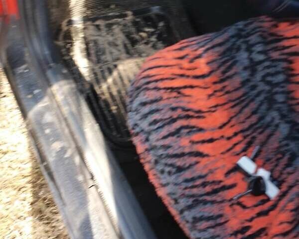 Червоний Форд Сієрра, об'ємом двигуна 2 л та пробігом 450 тис. км за 1050 $, фото 3 на Automoto.ua