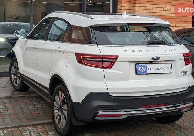 Белый Форд Территори, объемом двигателя 0 л и пробегом 50 тыс. км за 18499 $, фото 79 на Automoto.ua